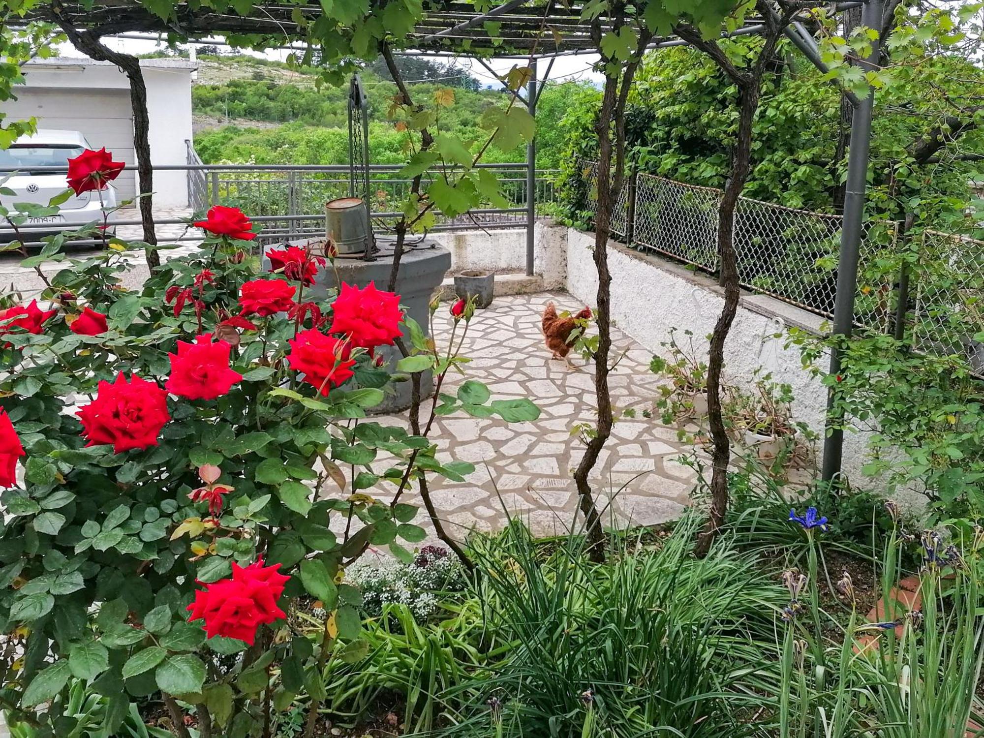 Apartman Lavanda Sa Bazenom I Okucnicom 4* Hreljin Kültér fotó