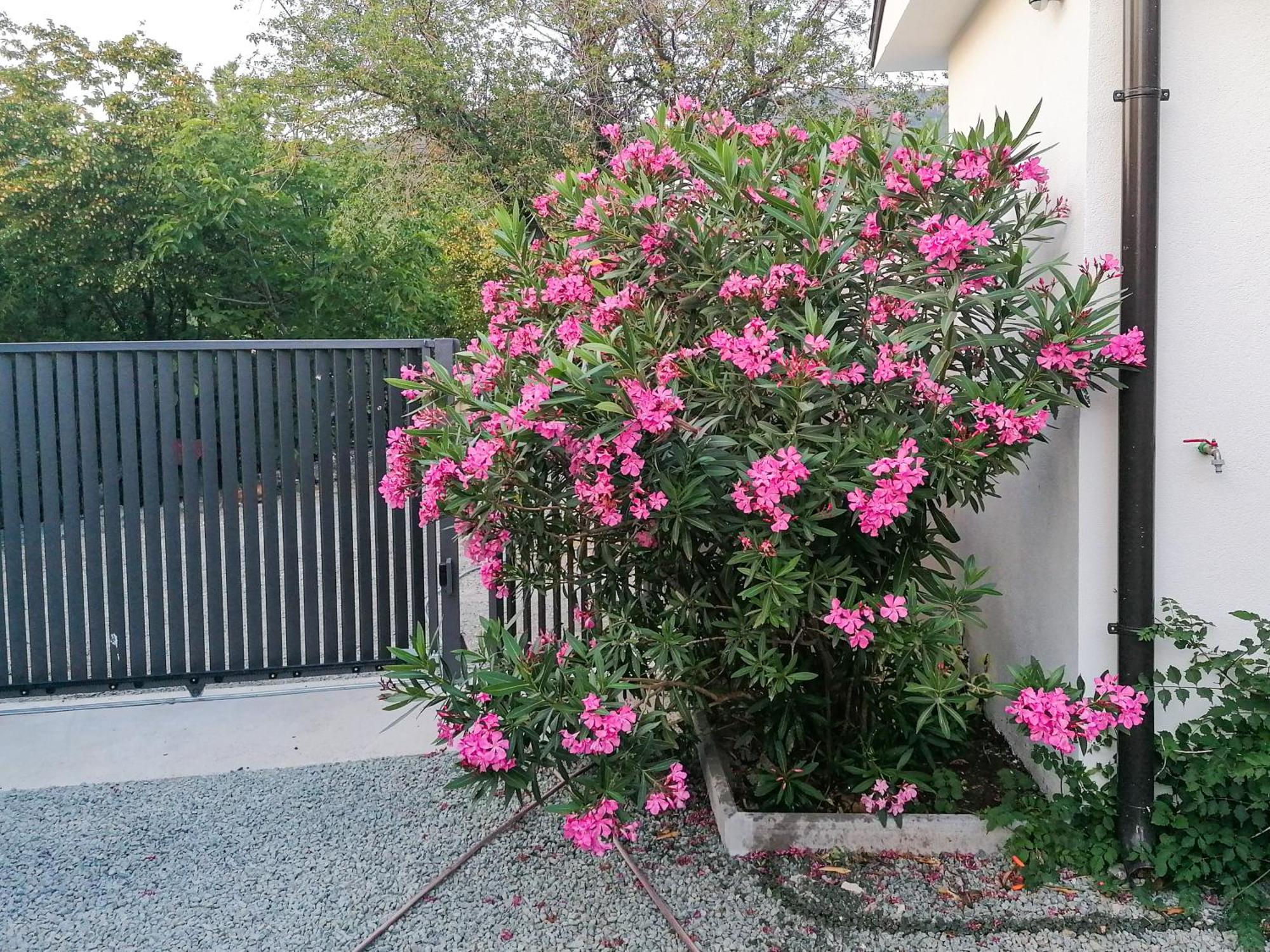 Apartman Lavanda Sa Bazenom I Okucnicom 4* Hreljin Kültér fotó