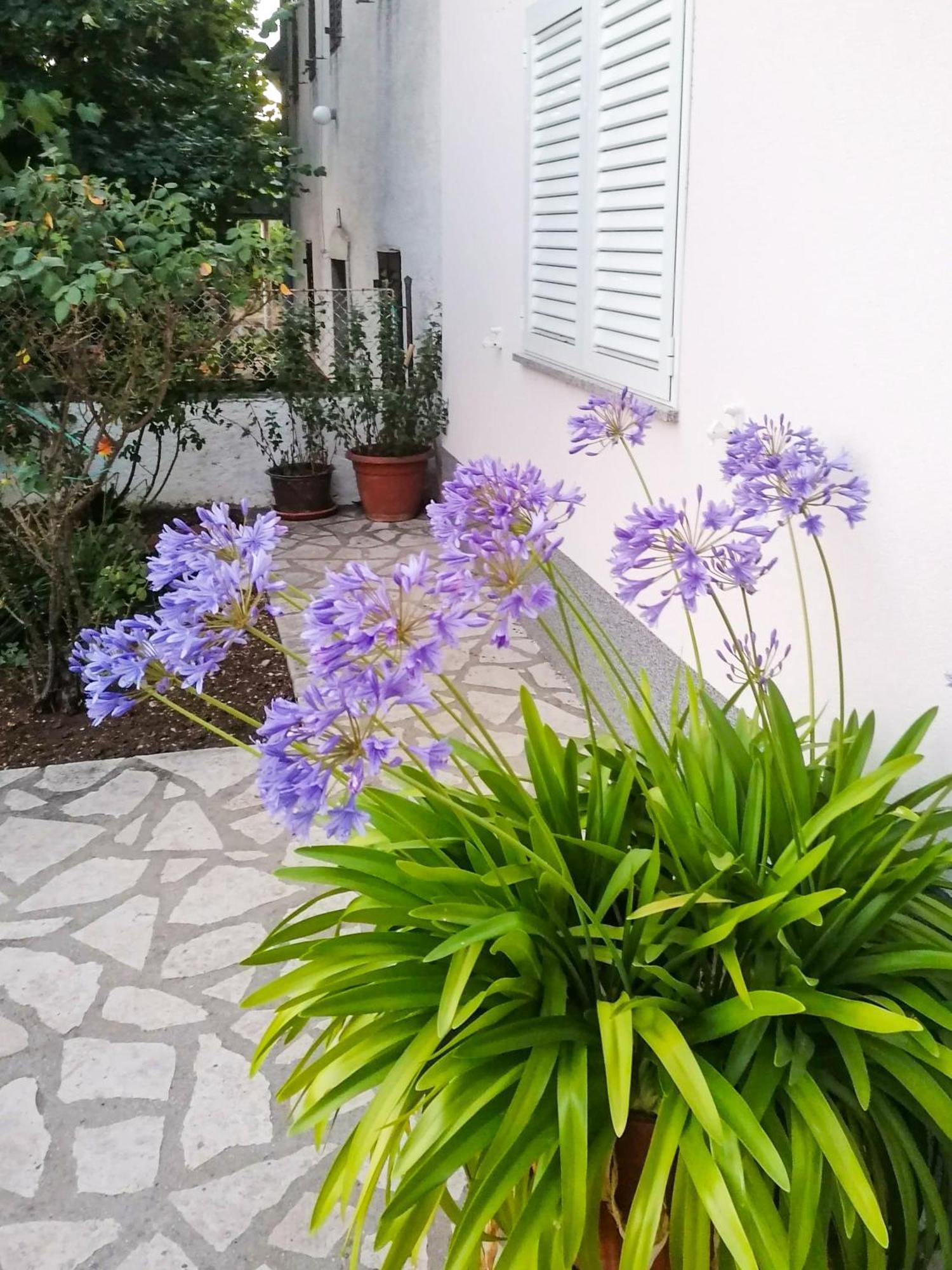 Apartman Lavanda Sa Bazenom I Okucnicom 4* Hreljin Kültér fotó